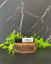 Load image into Gallery viewer, Perfume roll on Oil
